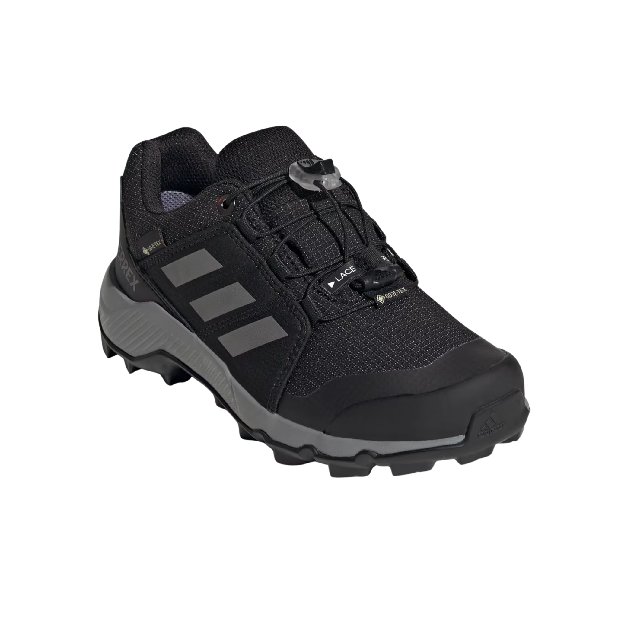 Terrex GORE-TEX Hiking Shoes