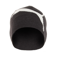 PUMA ESSENTIAL CAP BIG CAT DARK GREY - Marka store