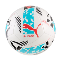 PUMA Orbita LaLiga 1 Football